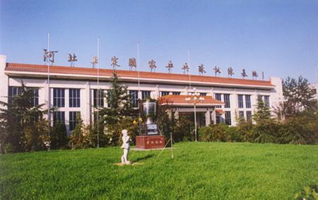 正定古城
