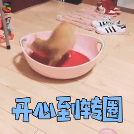 微信图片_20190715104238.gif