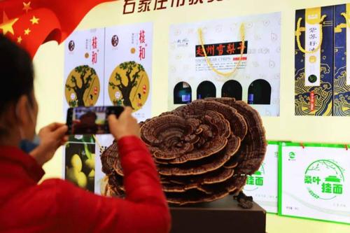 【最新消息】明日开幕！2020石家庄名品博览会来了