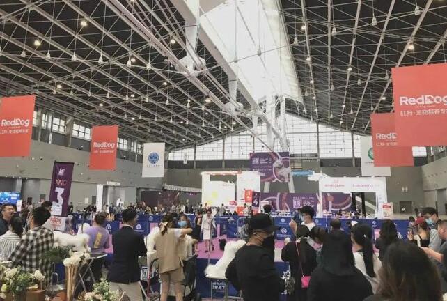 赛事报道 | 国秀犬展“最强王者”花落谁家？2021年CKU“国SHOW”完美收官！