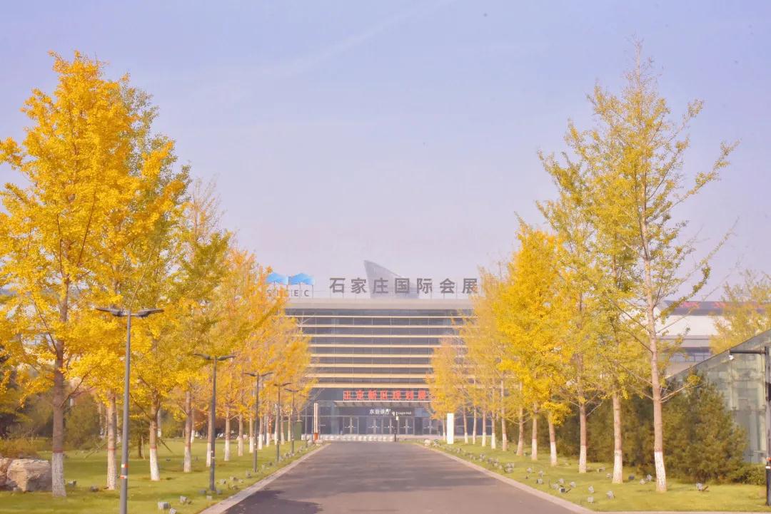 赤橙黄绿青蓝紫，国展彩练当空舞